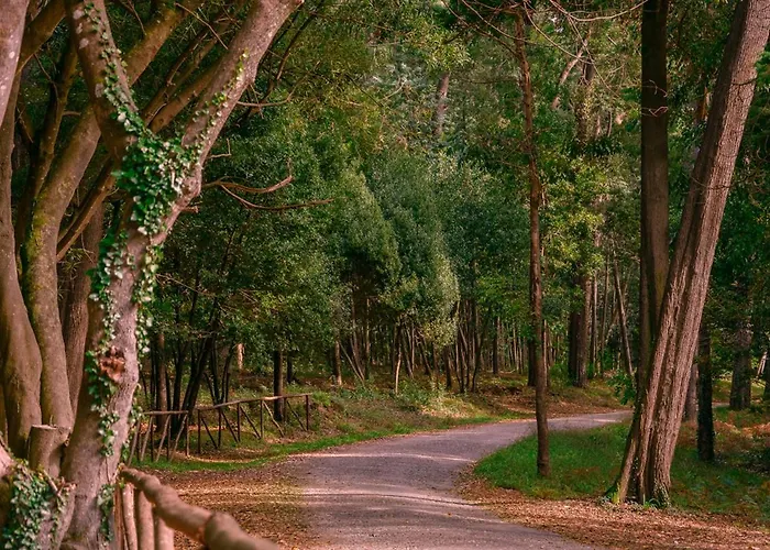 Apartman House Bay Figueira da Foz